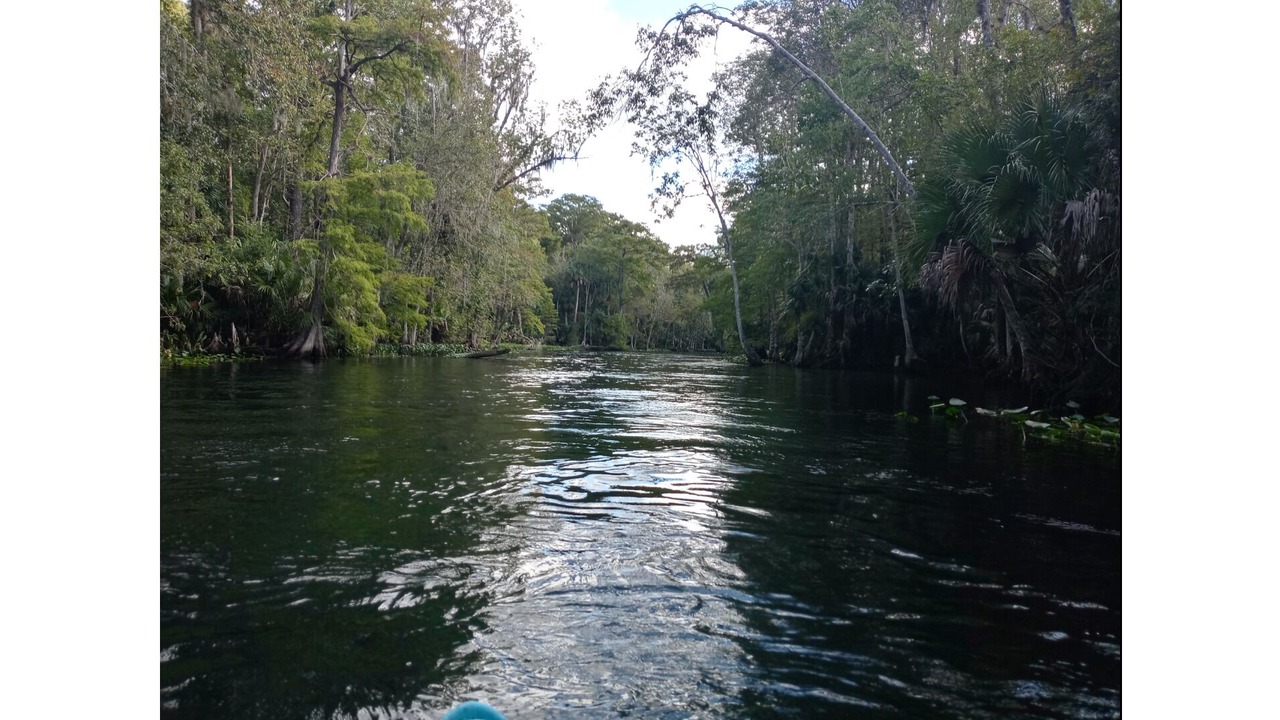 Photo of Others in Crystal River