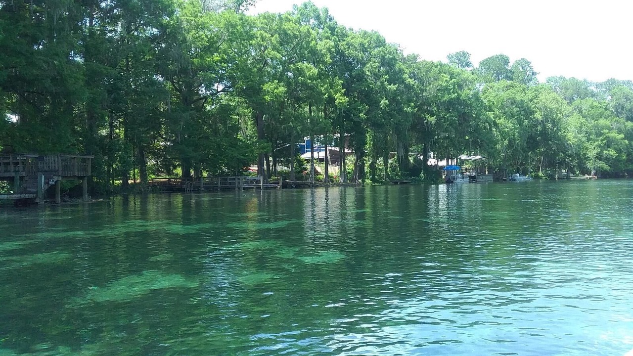 Photo of Outdoor in Crystal River