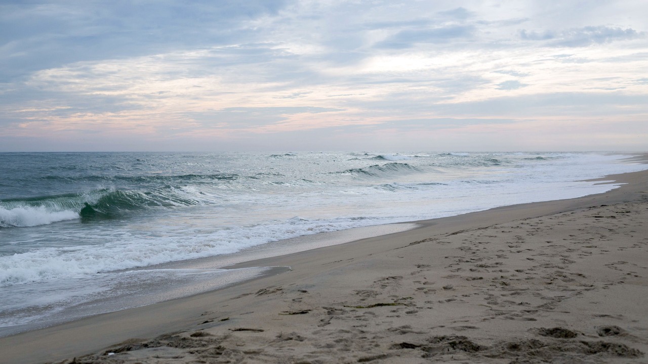Photo of Others in Vanderbilt Beach