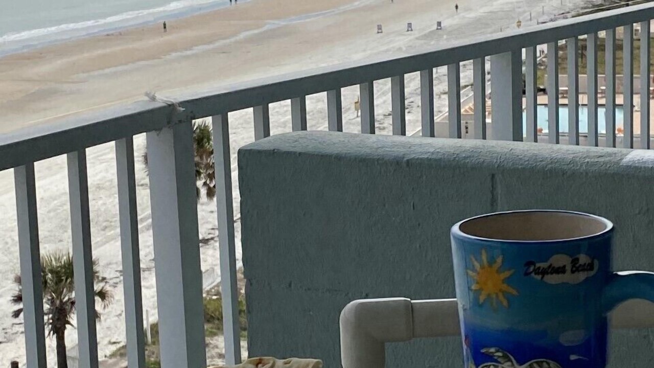 Photo of Outdoor in East Daytona