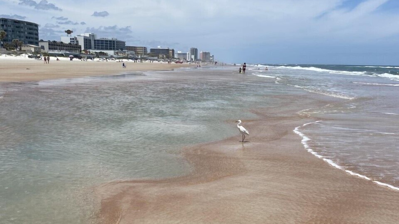 Photo of Others in East Daytona