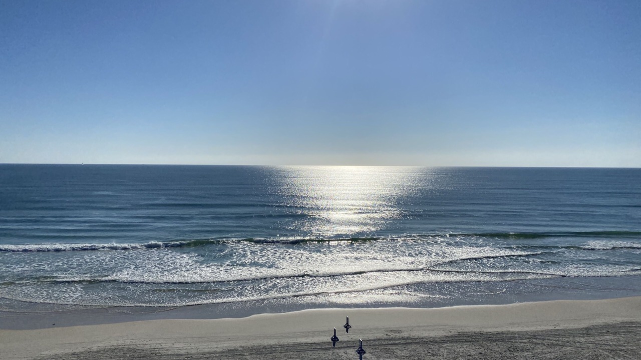 Photo of Others in East Daytona