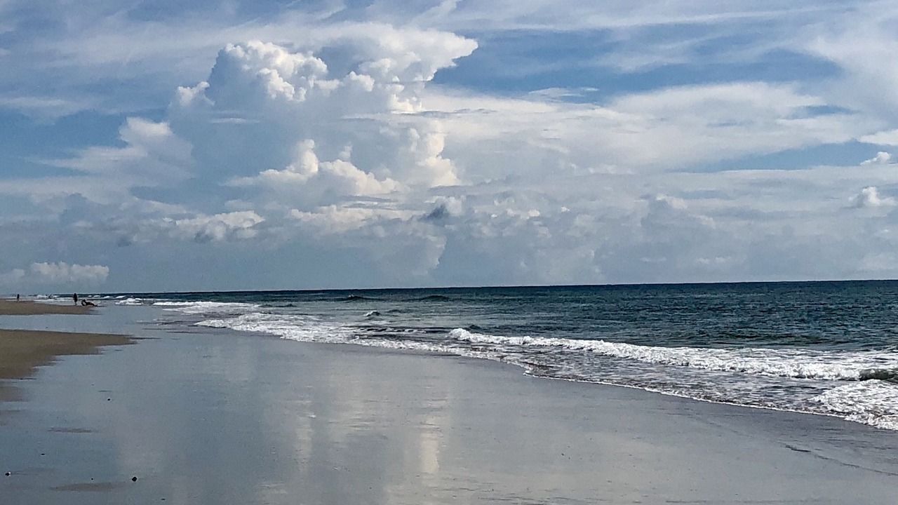 Photo of Others in Amelia City