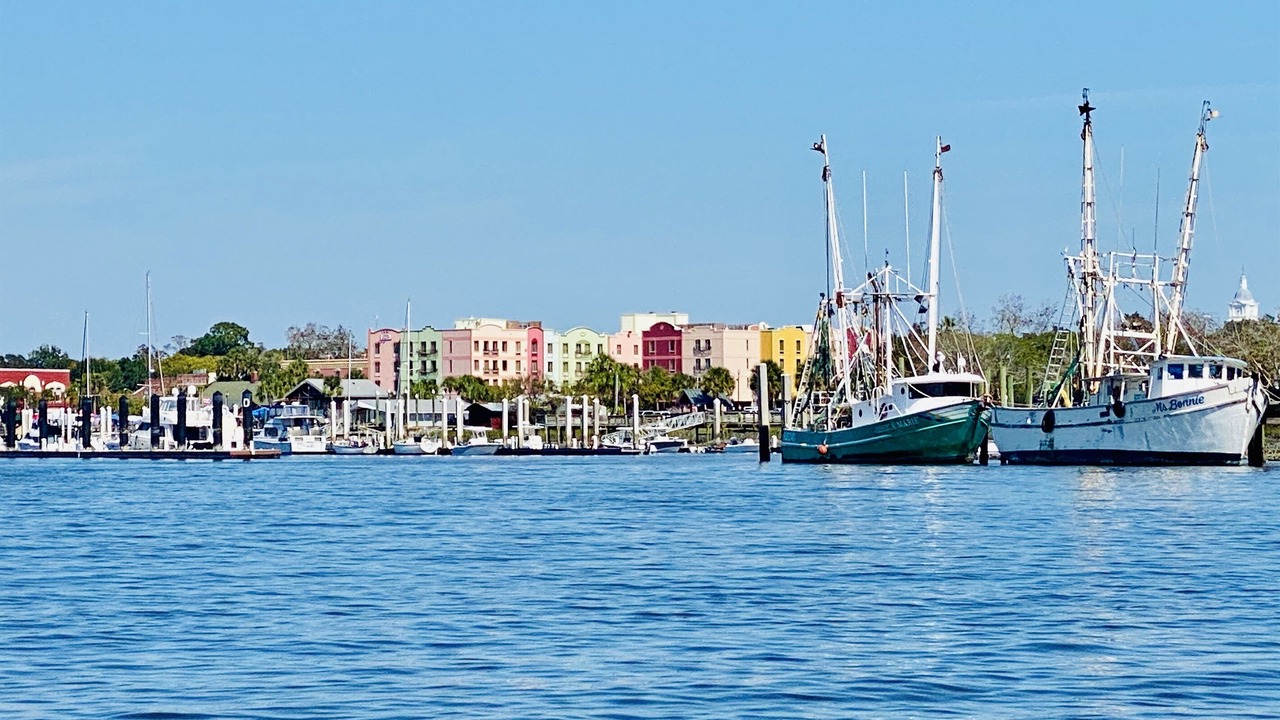 Photo of Others in Amelia City