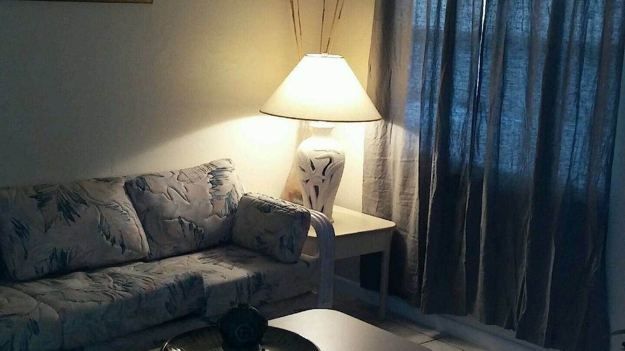 Photo of Livingroom in Palm Harbor