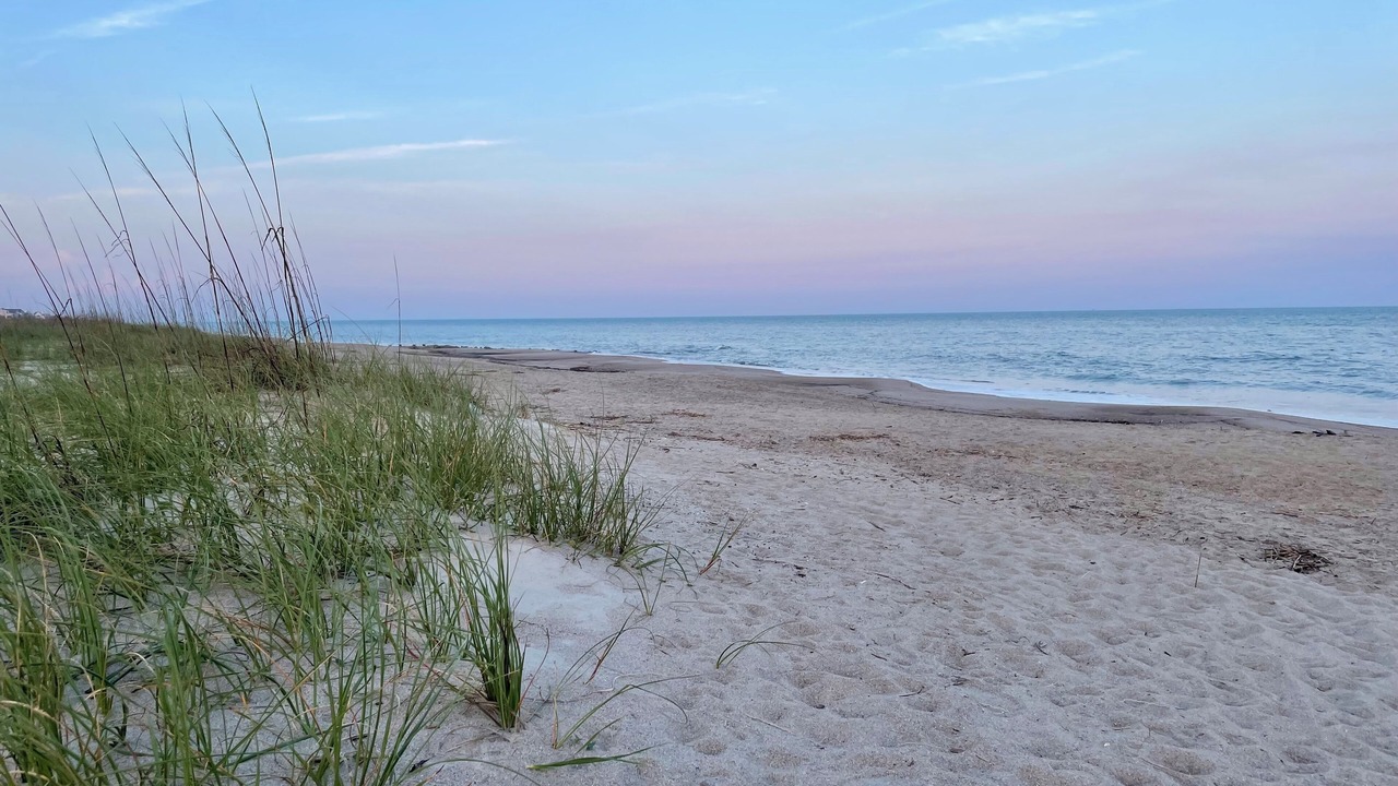 Photo of Others in Edisto Island