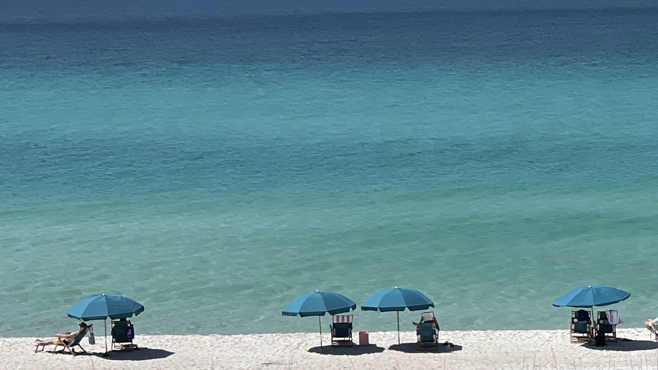 Photo of Others in Seagrove Beach