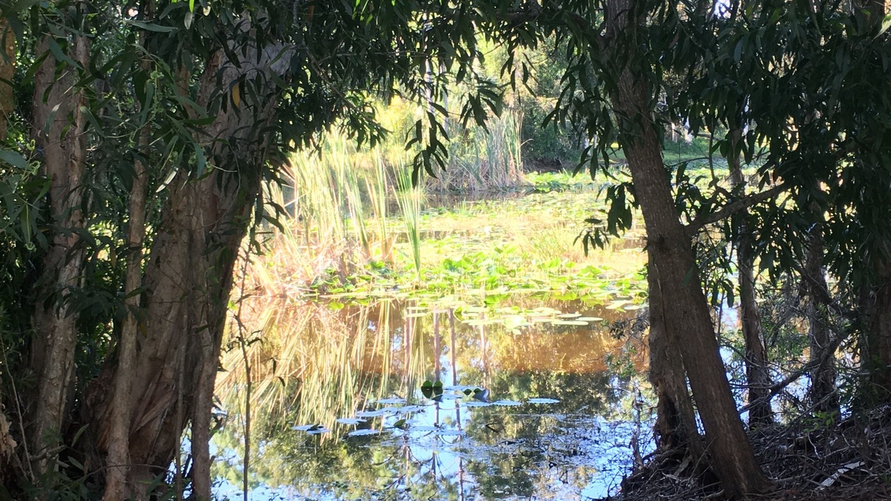 Photo of Outdoor in San Carlos Park