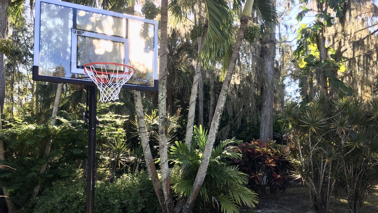 Photo of Outdoor in San Carlos Park