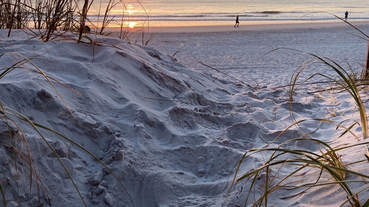 Photo of Others in Jacksonville Beach