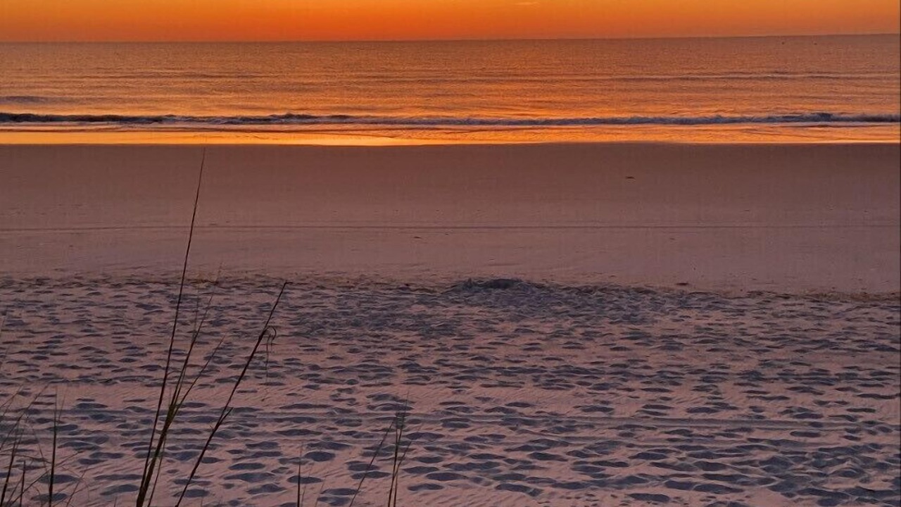 Photo of Others in Jacksonville Beach