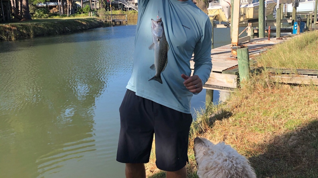 Photo of Others in Alligator Point