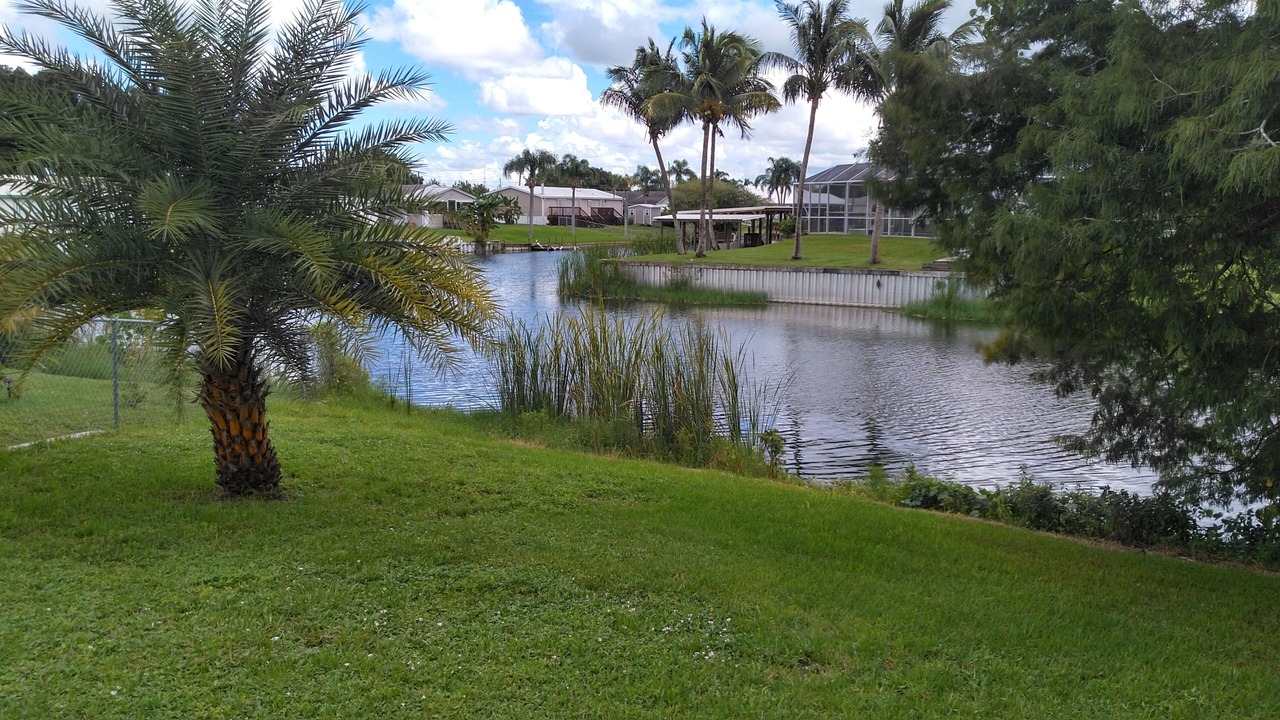 Photo of Outdoor in Taylor Creek