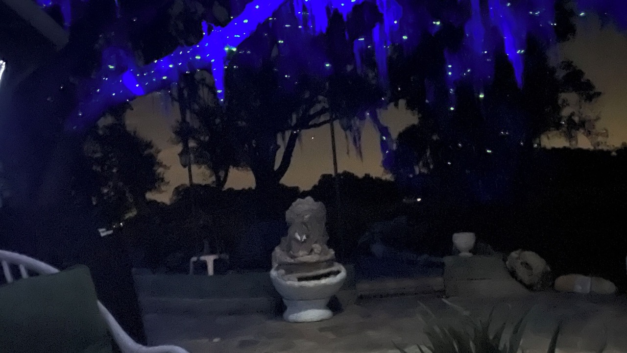 Photo of Others in Hernando