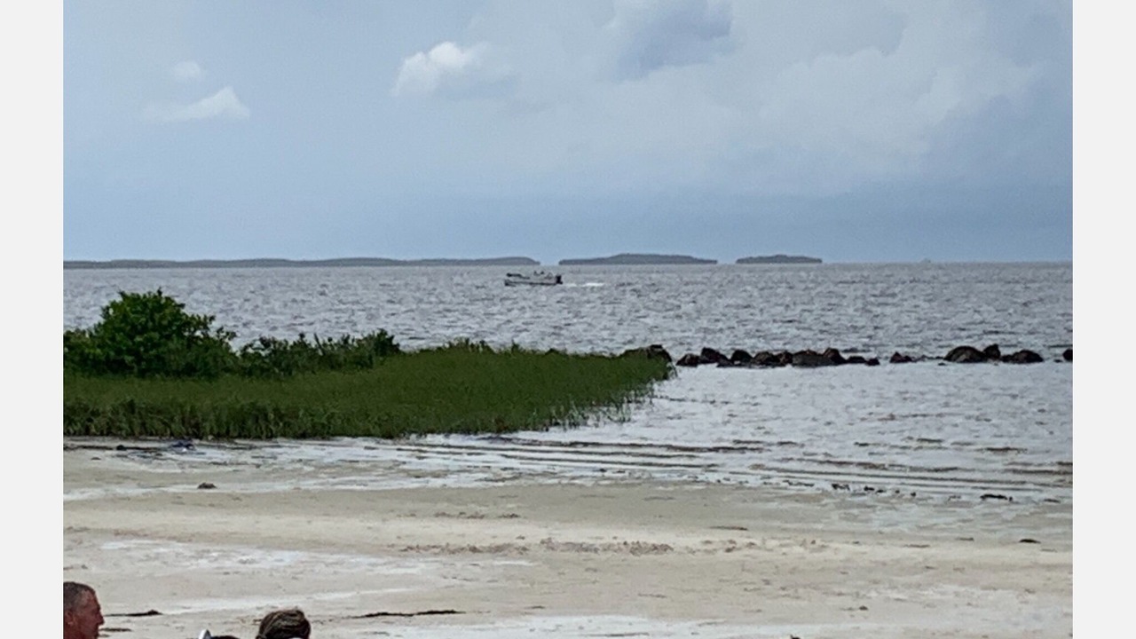 Photo of Others in Hernando
