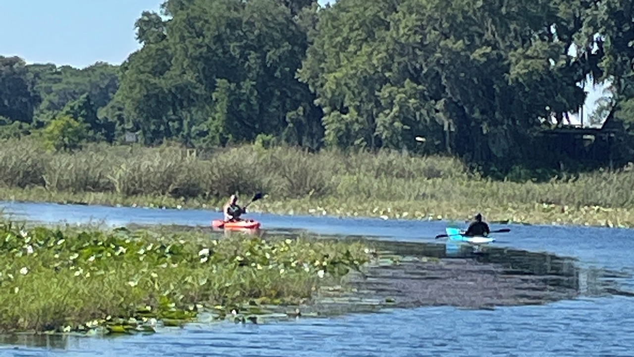 Photo of Others in Hernando
