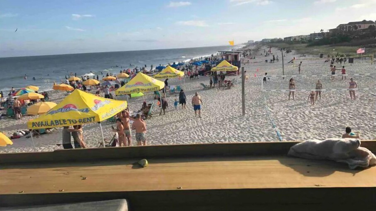 Photo of Others in Port Canaveral