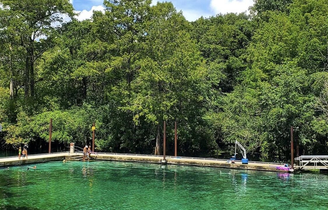 Photo of Others in Fanning Springs
