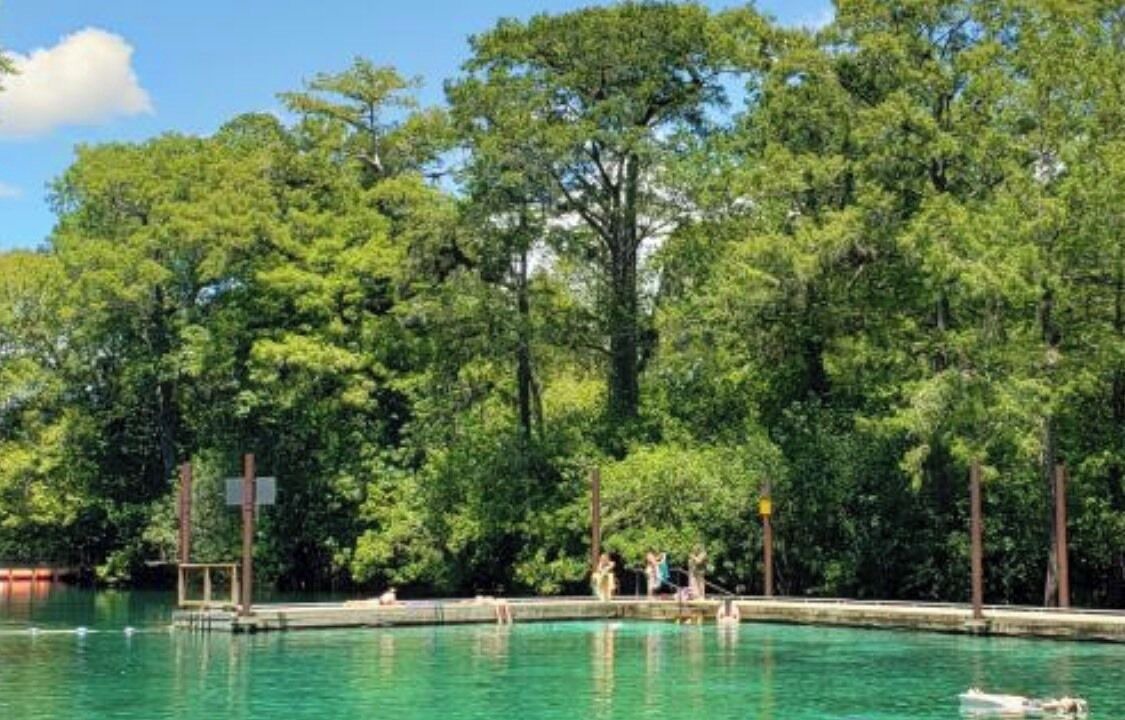 Photo of Outdoor in Fanning Springs