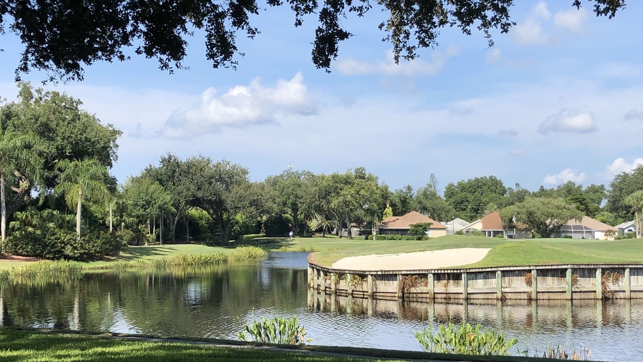Photo of Others in Estero