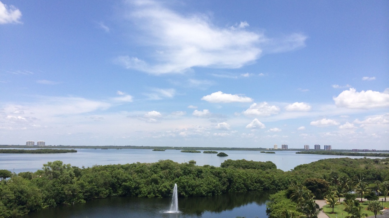 Photo of Others in Fort Myers Beach