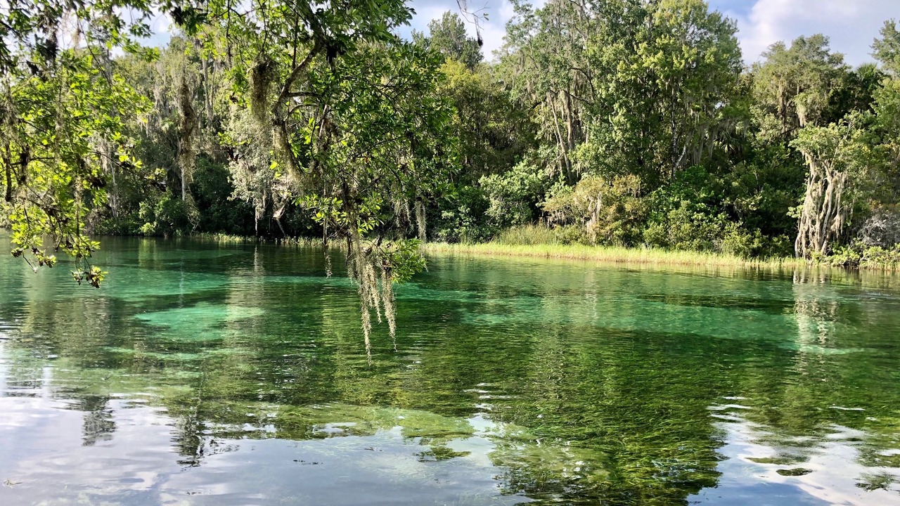 Photo of Others in Dunnellon
