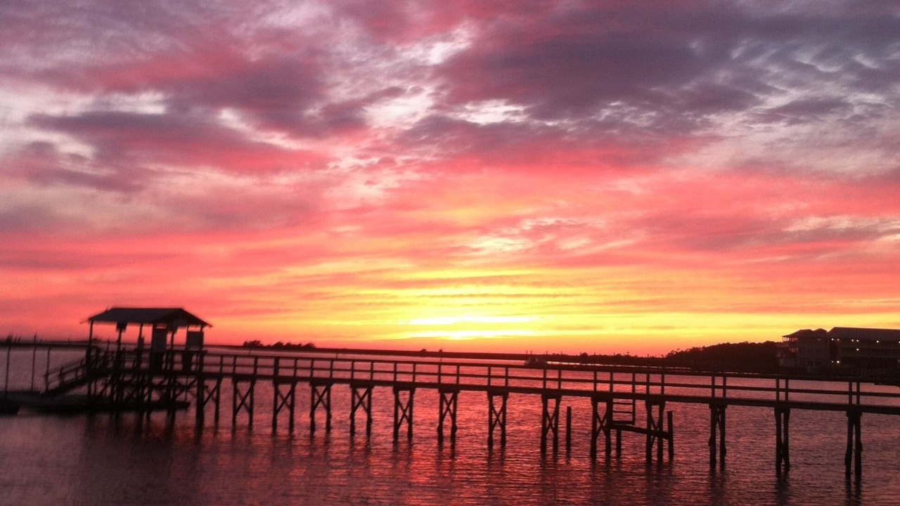 Photo of Others in Steinhatchee