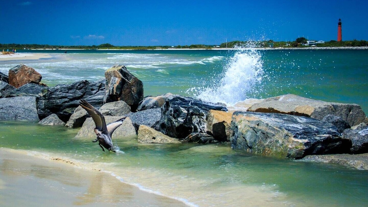 Photo of Others in New Smyrna Beach