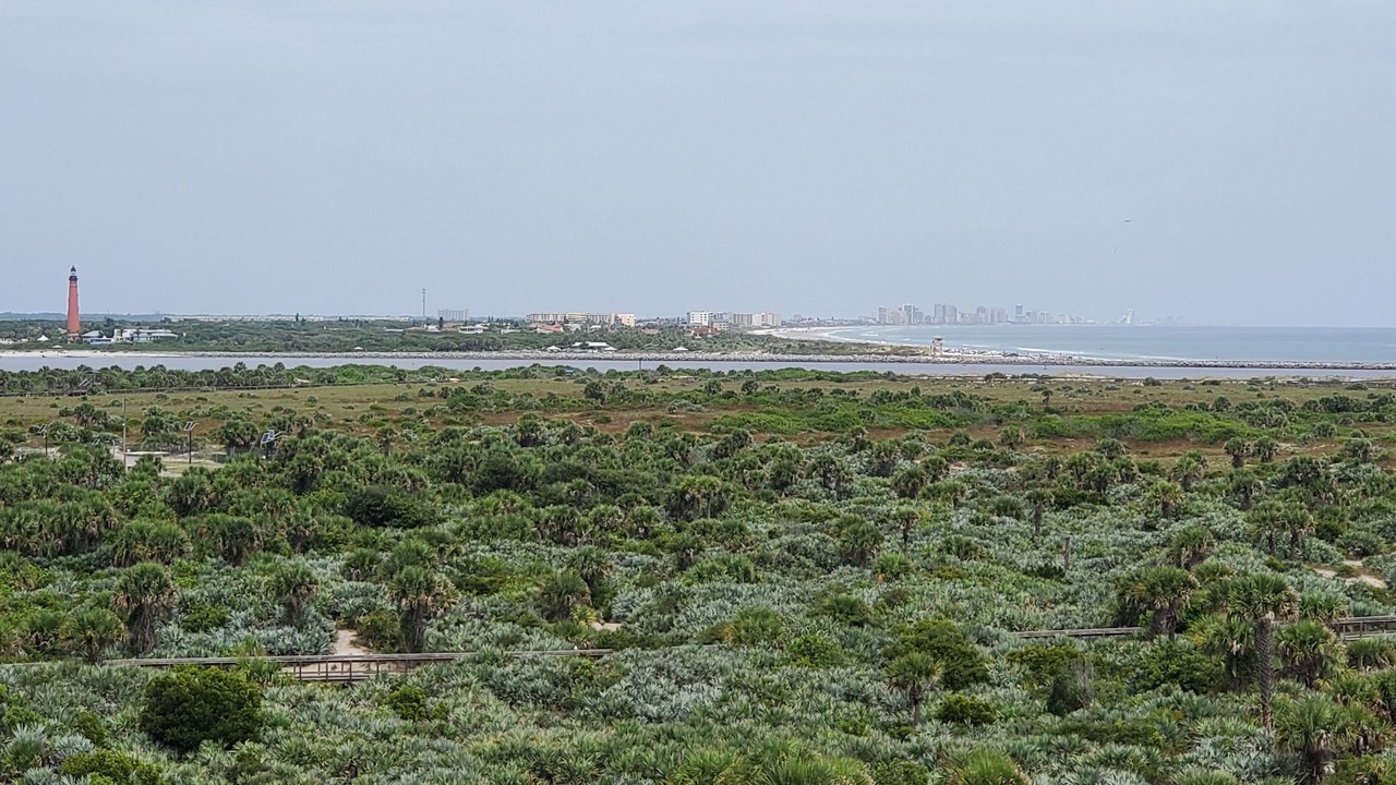 Photo of Others in New Smyrna Beach