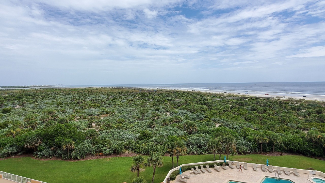 Photo of Outdoor in New Smyrna Beach
