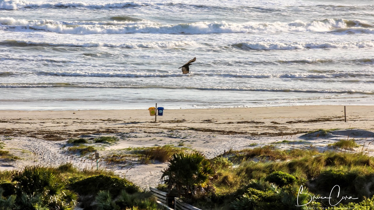 Photo of Others in New Smyrna Beach