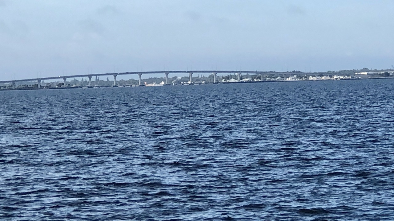 Photo of Others in Hutchinson Island South