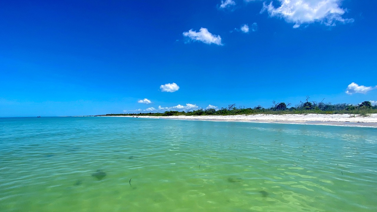 Photo of Others in Fort Myers
