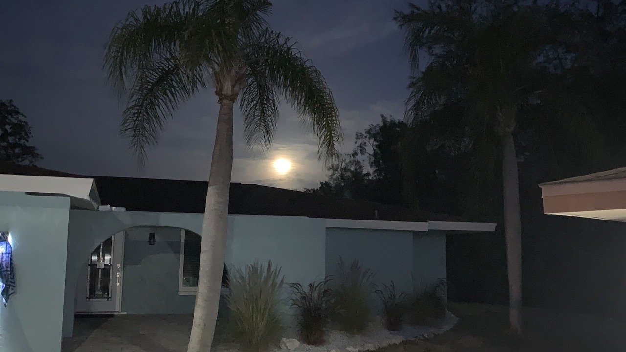 Photo of Outdoor in Nokomis