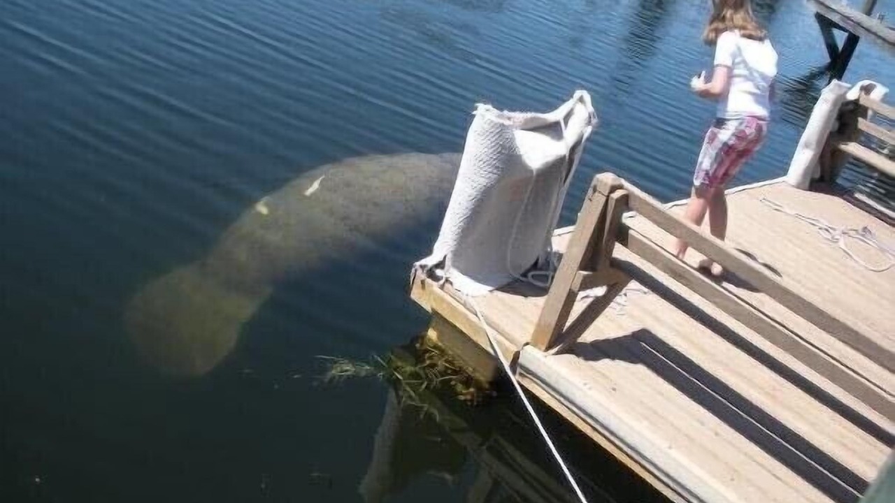 Photo of Outdoor in Gulf Harbors