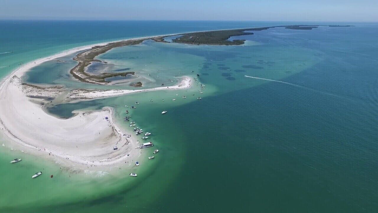 Photo of Others in Gulf Harbors