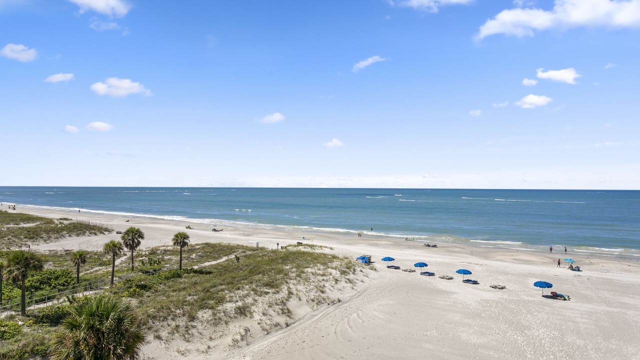 Photo of Others in Madeira Beach