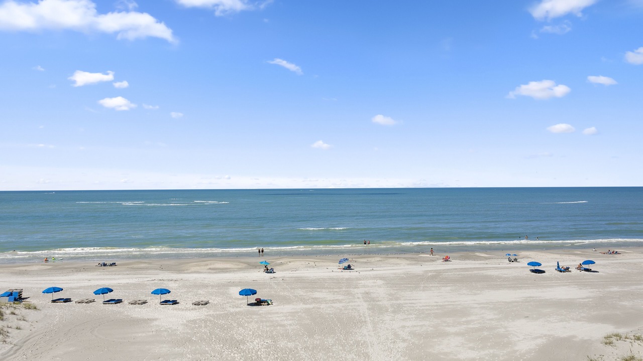 Photo of Others in Madeira Beach