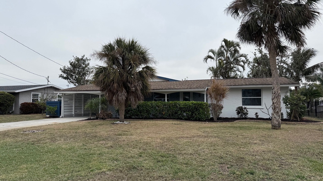 Photo of Outdoor in South Sarasota