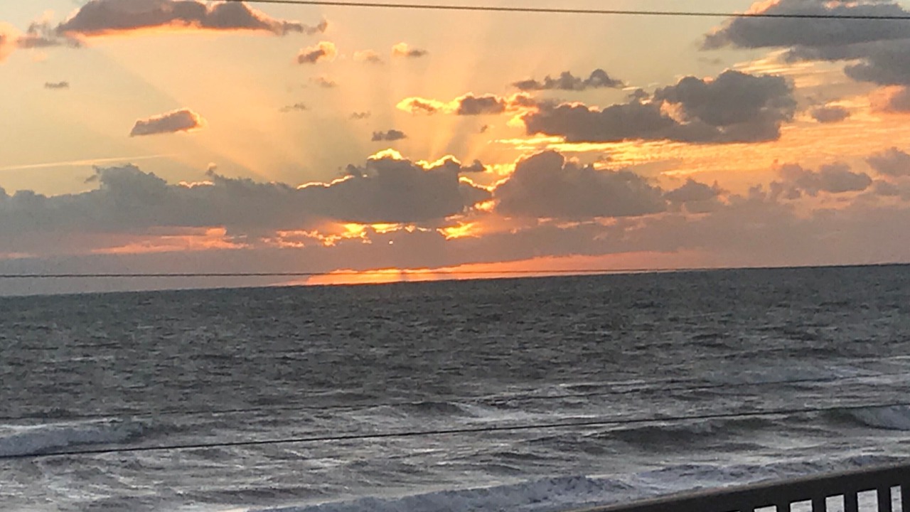 Photo of Others in Ormond-by-the-Sea