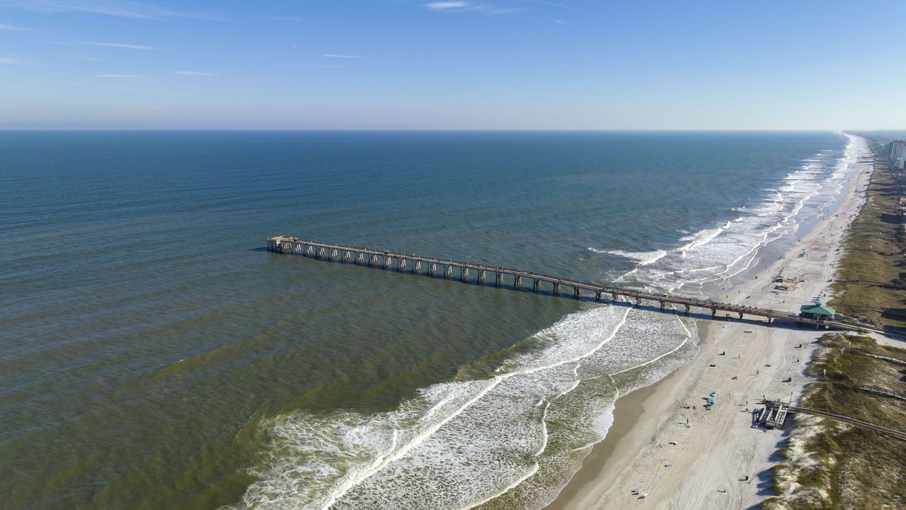 Photo of Others in Jacksonville Beach
