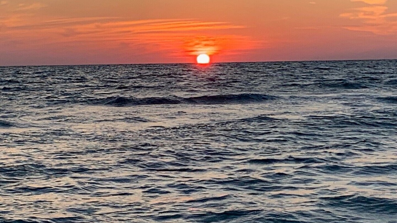 Photo of Others in Marco Island