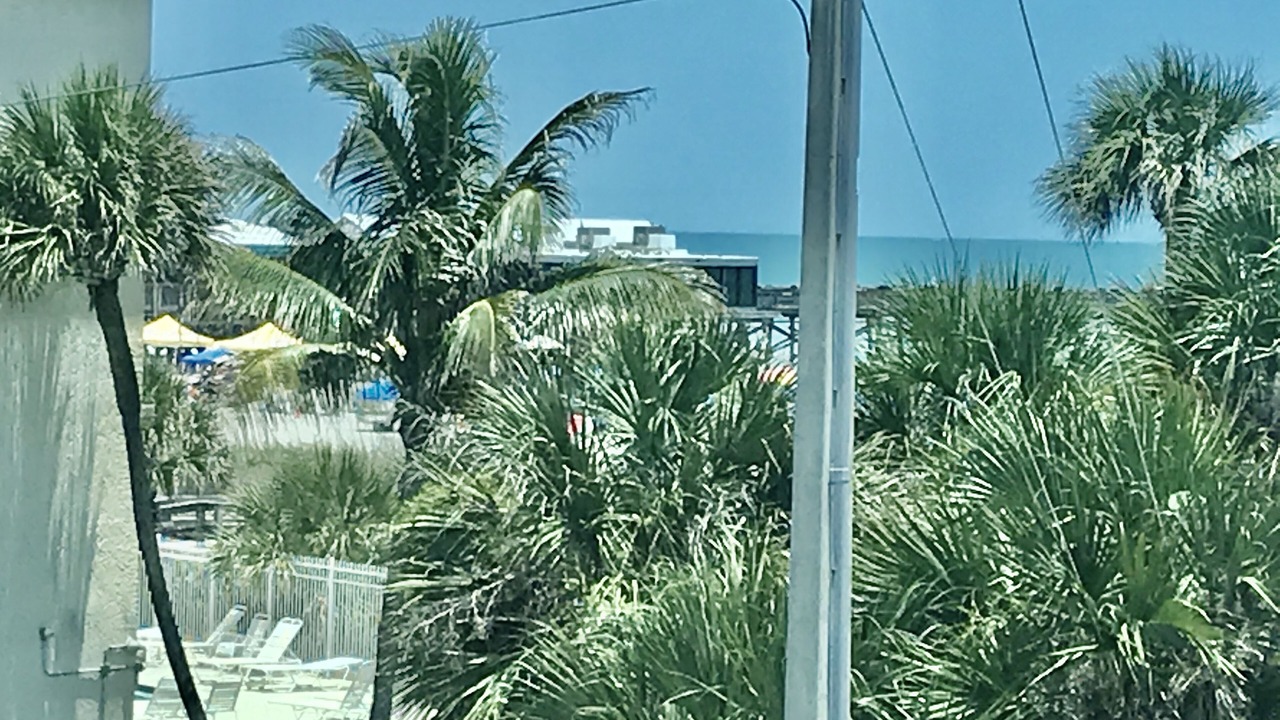 Photo of Others in Avon By The Sea