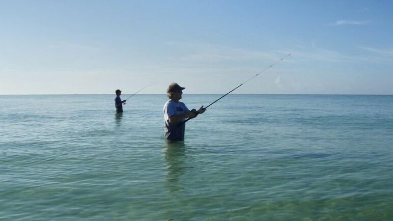 Photo of Others in Gulf Trace