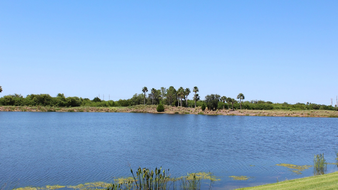Photo of Others in Braden River