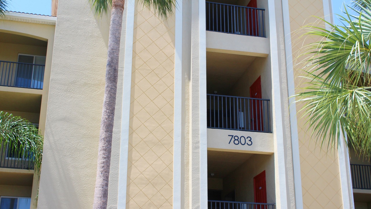Photo of Outdoor in Braden River