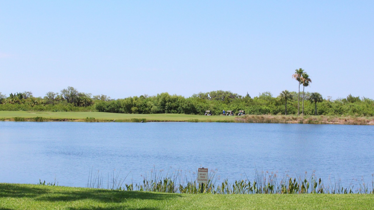 Photo of Others in Braden River