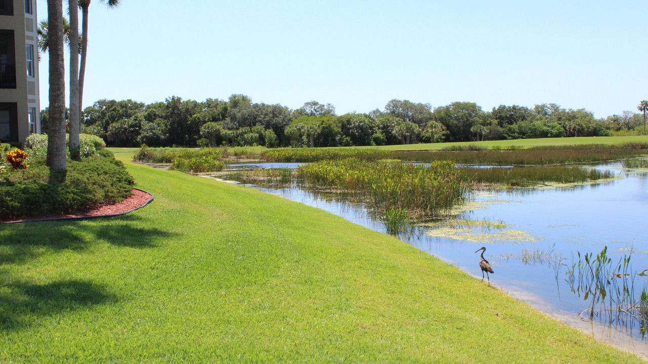Photo of Outdoor in Braden River