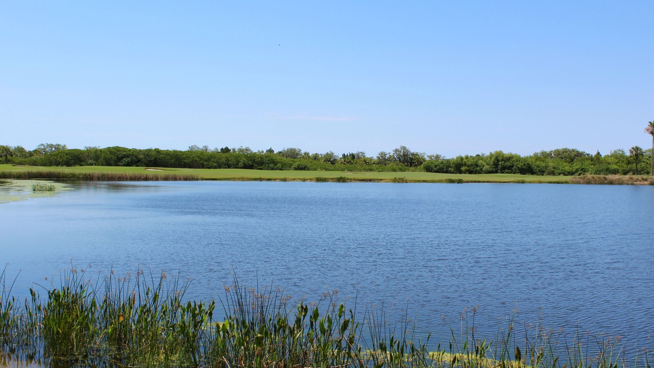 Photo of Outdoor in Braden River