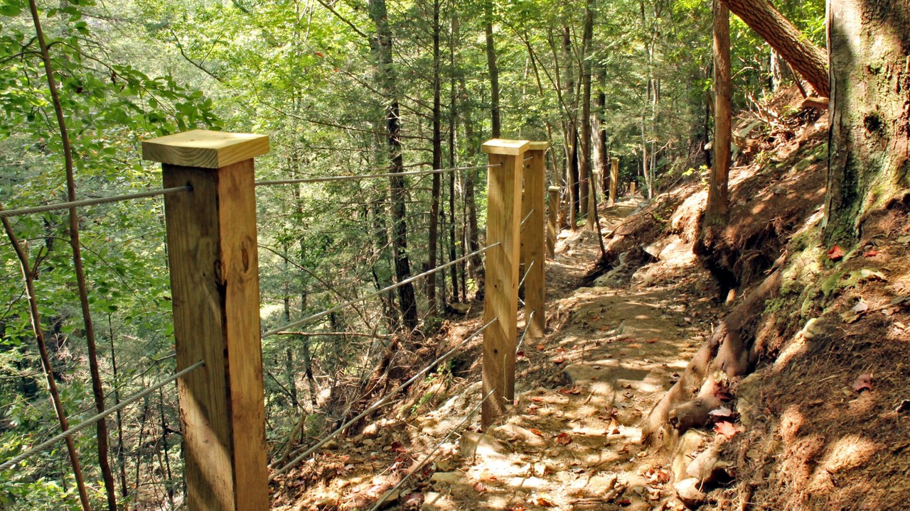 Photo of Others in Monteagle